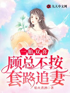 一胎双喜:顾总不按套路追妻